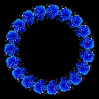 blue flower round preview
