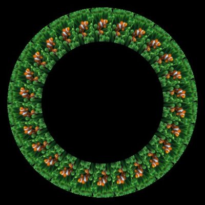 clown fish round preview