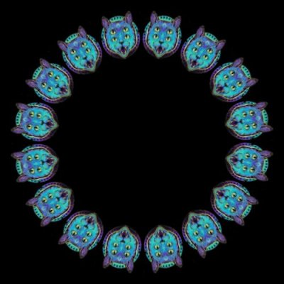 4 eye cat $ round preview