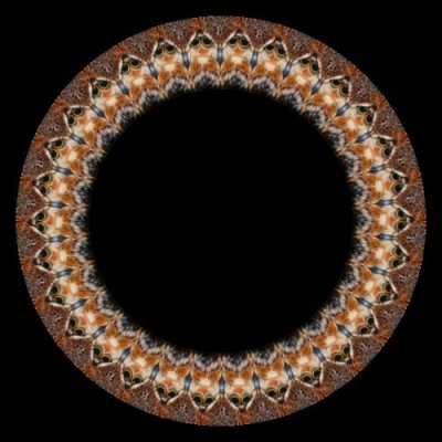 owl face close up round preview