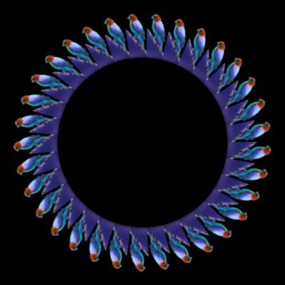 purple bird (mirror horizontal) round preview