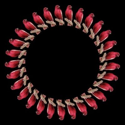 red bird (mirror horizontal) round preview