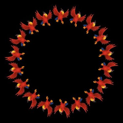 iago the parrot round preview