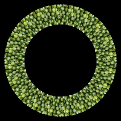 green gooseberry turn it red round preview