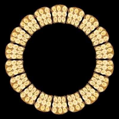 PeanutButterToast round preview