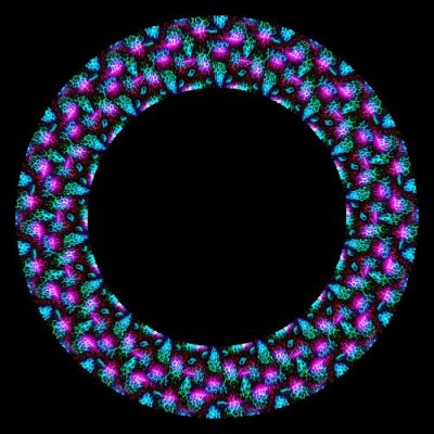 Leopard Pattern Namjira 2023 round preview
