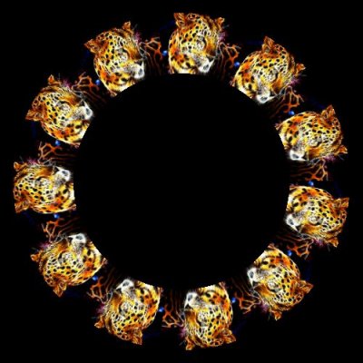 leapeod round preview