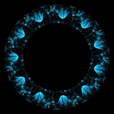 flower round preview