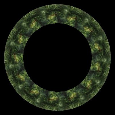 Realistic photo of forest tree full of leaves round preview