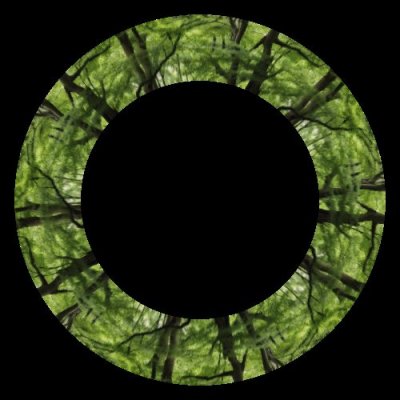 Realistic photo of forest tree full of leaves round preview