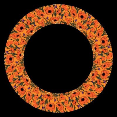 Vibrant California poppies round preview