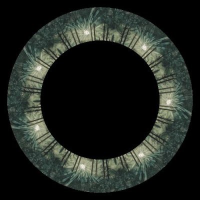 Deep forest with light rays intricate details round preview