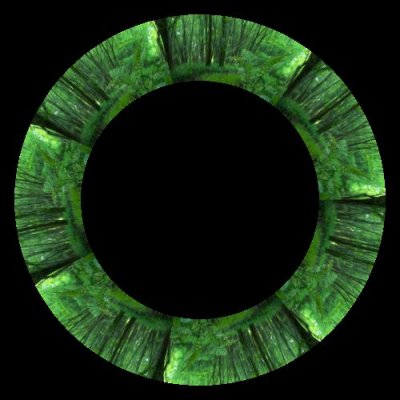 forest 4 round preview