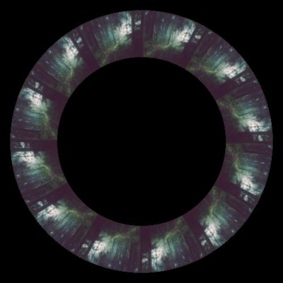 forest 5 round preview