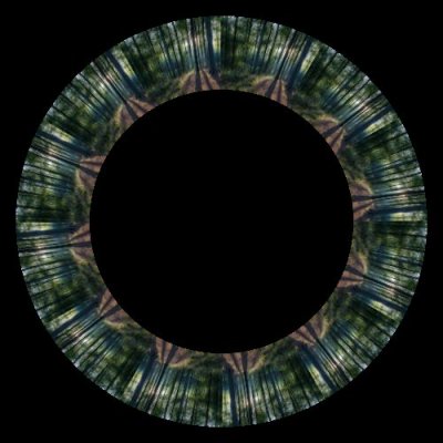 forest 6 round preview