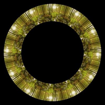 forest 7 round preview