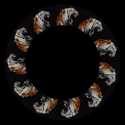 Tiger 2 round preview