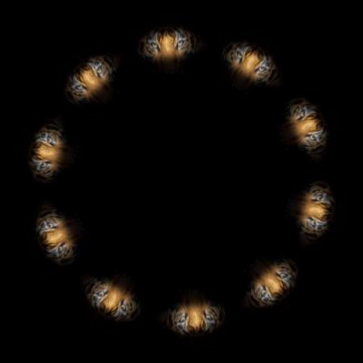 Tiger 4 round preview