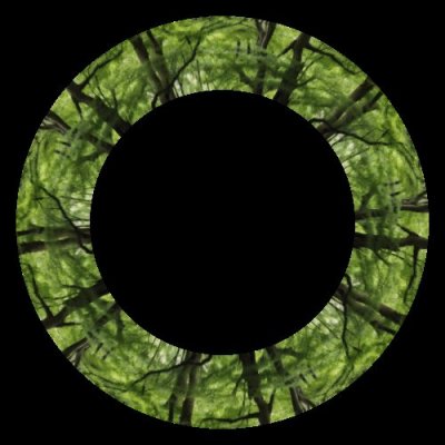 realistic photo of forest tree full of leaves 136px round preview