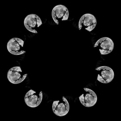 Moonlight dear round preview