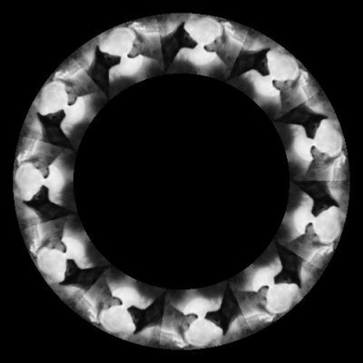 Wolves black vs white round preview