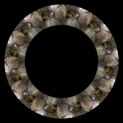 Cave 5 round preview