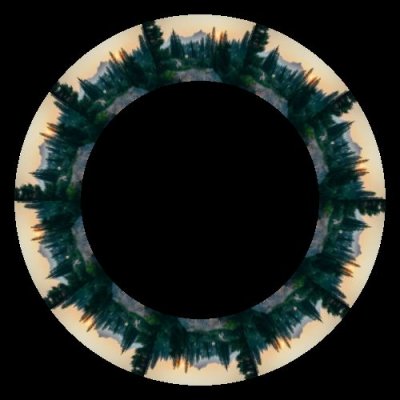 forest 11 round preview