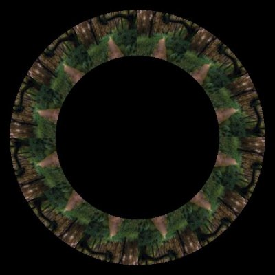 forest  12 round preview