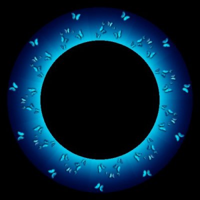 blue butterflies round preview