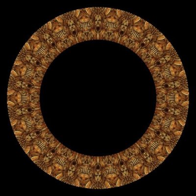 Capt. Ignatius round preview