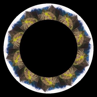 temple 8 round preview