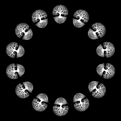 tree of life round preview