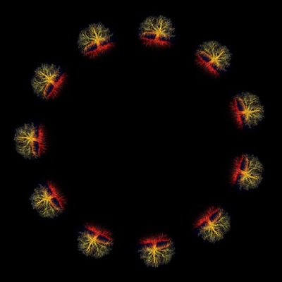 red and yellow tree of life round preview