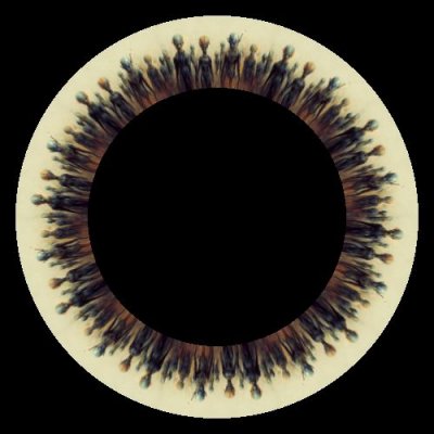 alien races round preview