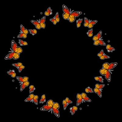 butterfly round preview