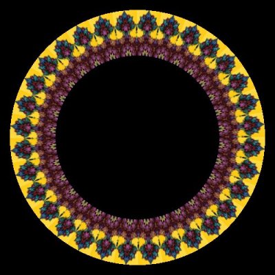 panda della 3 round preview