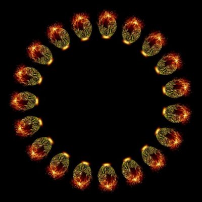 ornamentchristmas round preview