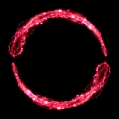 Pink NRG round preview