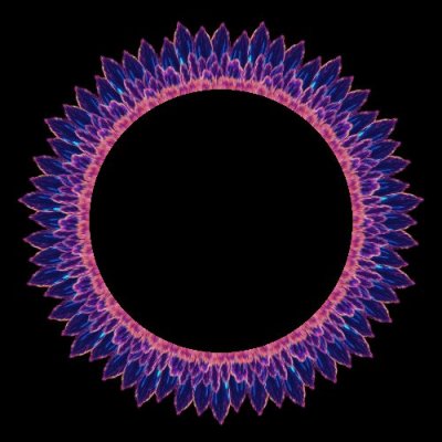 Flower round preview