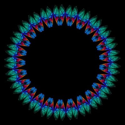 Flower round preview