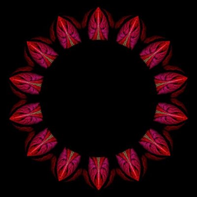 Flow flower round preview