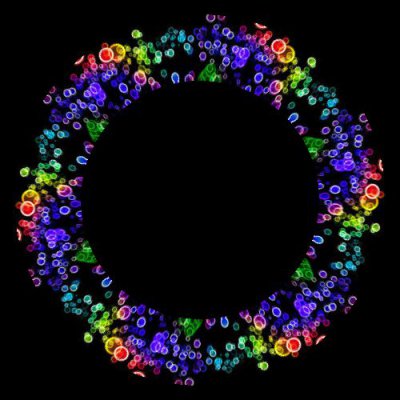 rainbow bubles round preview