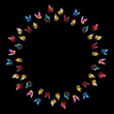 butterflies round preview