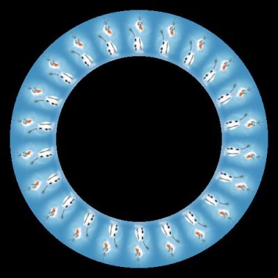 울라프 round preview