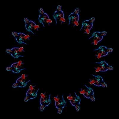 Killer 1 round preview