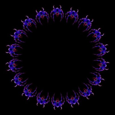 Spider 1 round preview