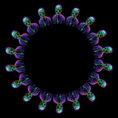 Zombie 5 round preview