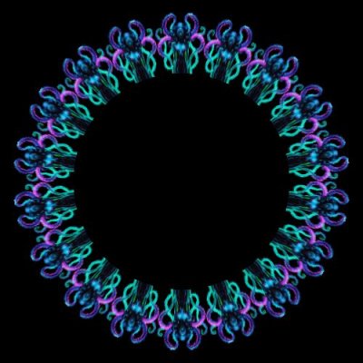 Ursula 2 round preview