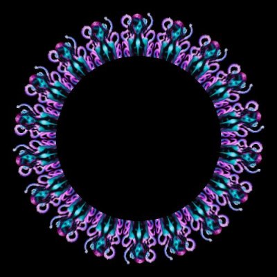 Ursula 3 round preview