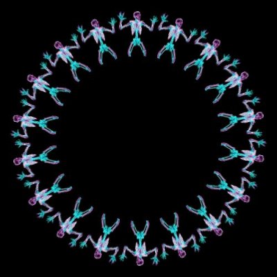 Skeleton 1 round preview